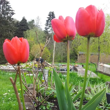 Le Clos Du Pere Finet 3* Halma