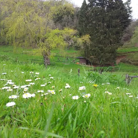 Le Clos Du Pere Finet 3*