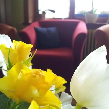 Bed & Breakfast Le Clos Du Pere Finet Halma