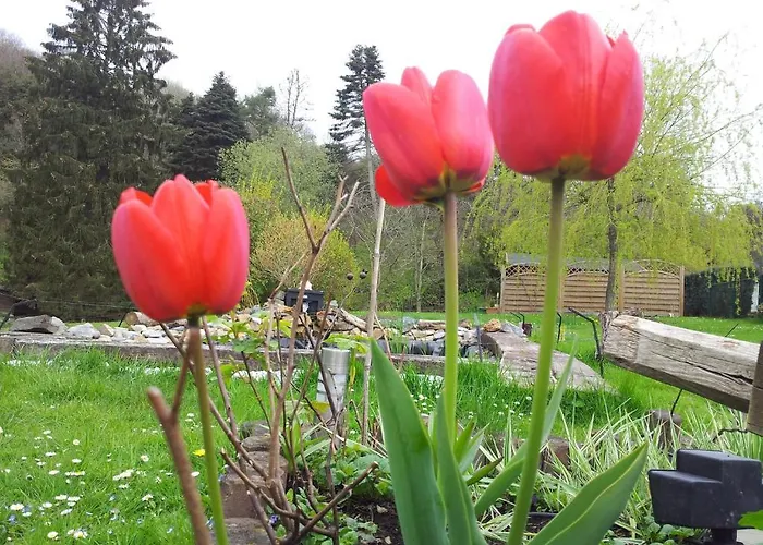 Le Clos Du Pere Finet 3* Halma