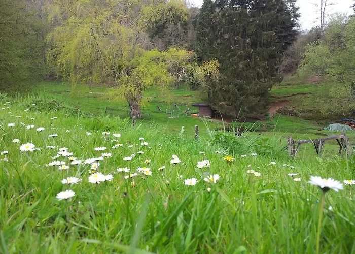 Le Clos Du Pere Finet 3*