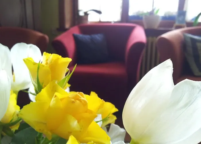 Alojamento de Acomodação e Pequeno-almoço Le Clos Du Pere Finet Halma