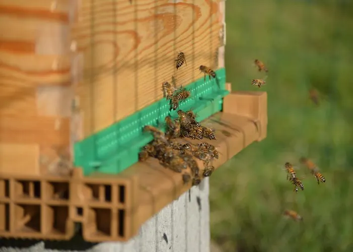 Le Clos Du Pere Finet Alojamento de Acomodação e Pequeno-almoço 3*