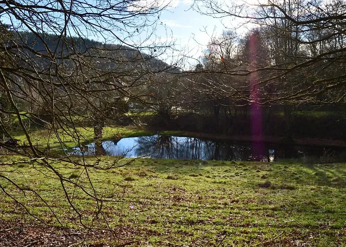Alojamento de Acomodação e Pequeno-almoço Le Clos Du Pere Finet