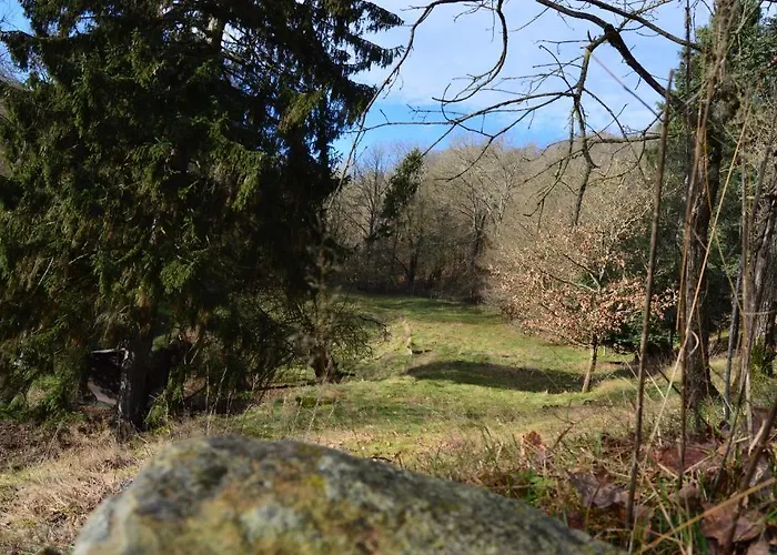 Alojamento de Acomodação e Pequeno-almoço Le Clos Du Pere Finet 3*