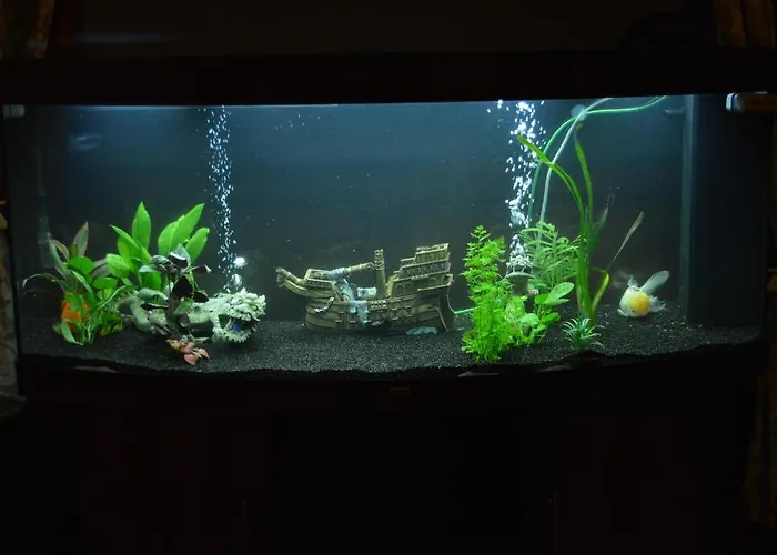 Alojamento de Acomodação e Pequeno-almoço Le Clos Du Pere Finet Halma